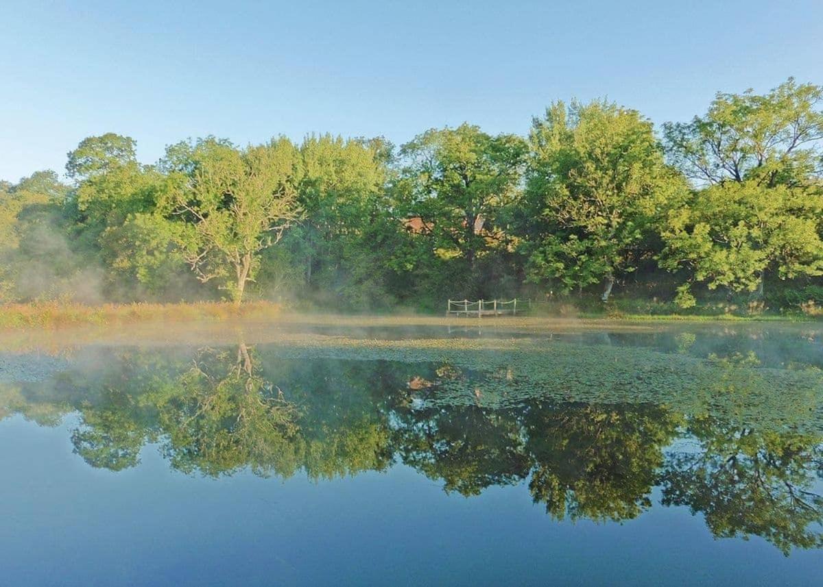 Mill Meadow Lodges Llanbister Dış mekan fotoğraf