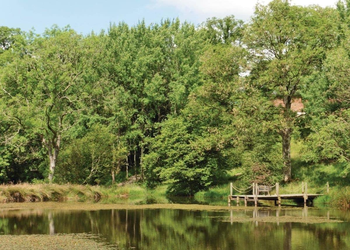 Mill Meadow Lodges Llanbister Dış mekan fotoğraf